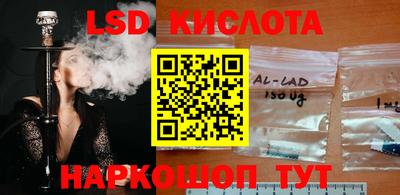 стаф Гай