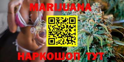 mdpv Гатчина