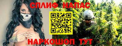 mdpv Гатчина