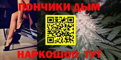 mdpv Гатчина