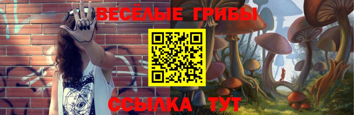 Галлюциногенные грибы прущие грибы Лениногорск